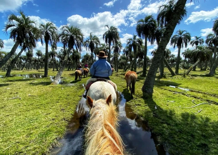 trekking_a_caballo_cabalgata_3_cerros_2