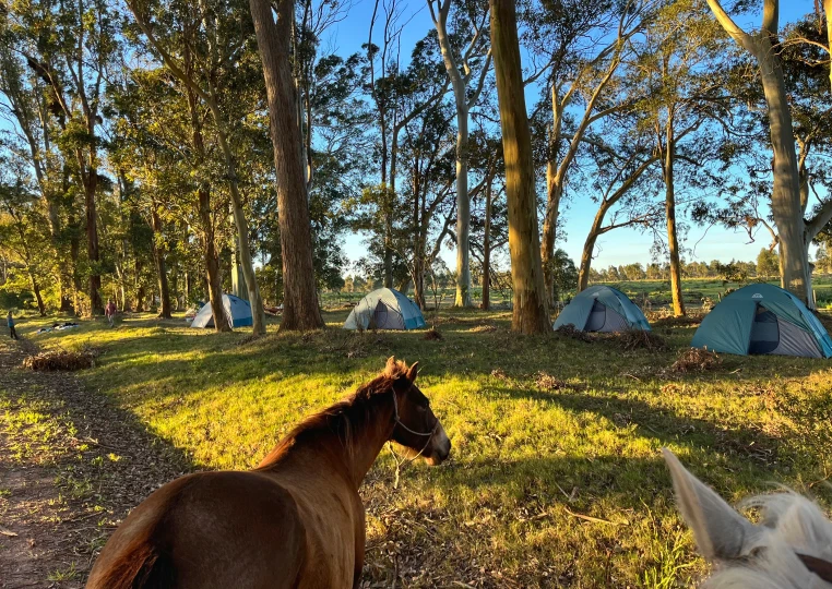 trekking_a_caballo_tierra_salvaje_de_criollos_13