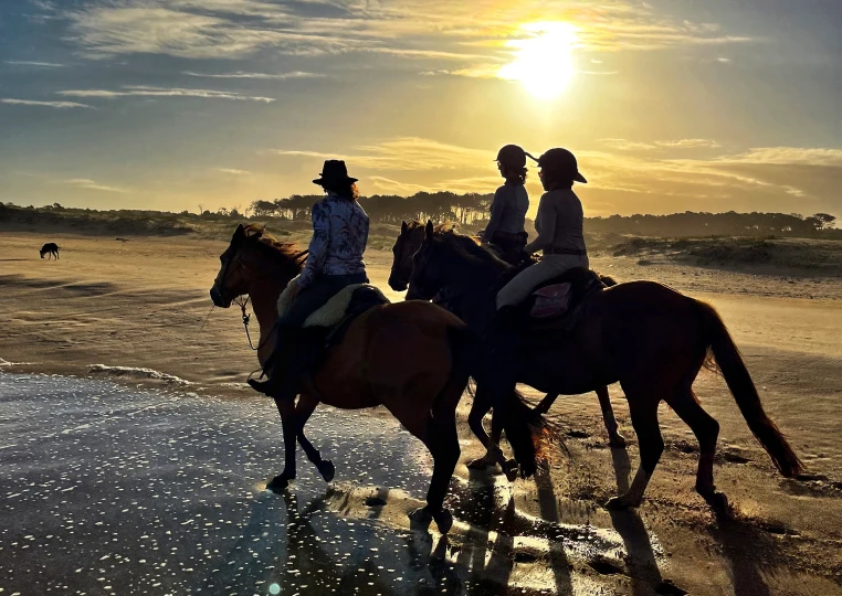 trekking_a_caballo_tierra_salvaje_de_criollos_5